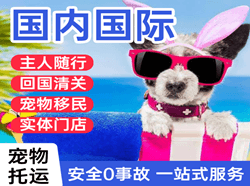 张家界机场托运国际宠物托运 【国